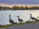 20201119Oestrich-Winkel013_DxO